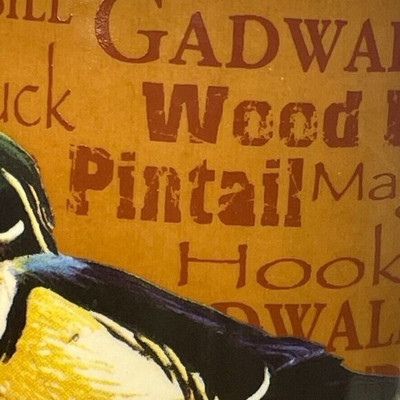 Field & Stream Duck Mallard Breed Mug Outdoor Adventure Fishing Hunting Sports - Picture 6 of 10